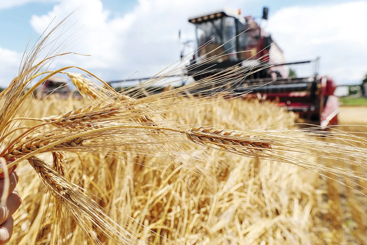 Праздник День урожая! Праздник День урожая!.